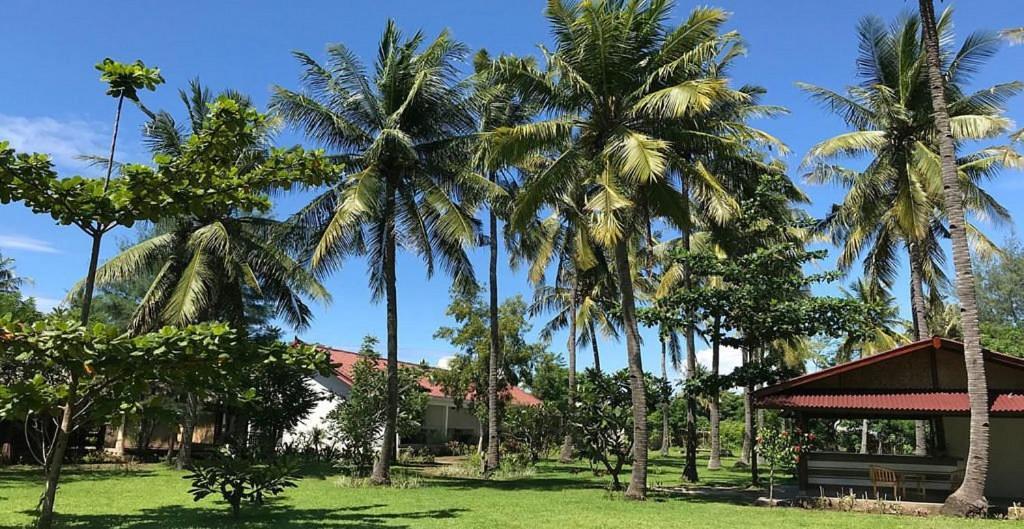 Amigos Bungalows Gili Meno Zewnętrze zdjęcie