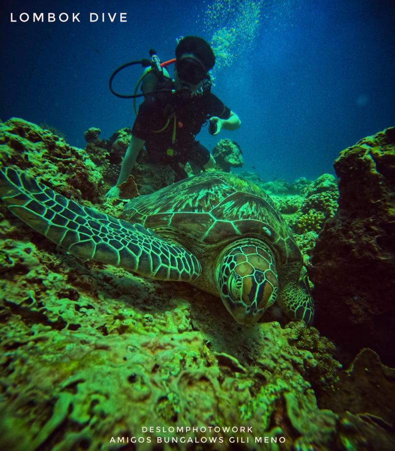 Amigos Bungalows Gili Meno Zewnętrze zdjęcie